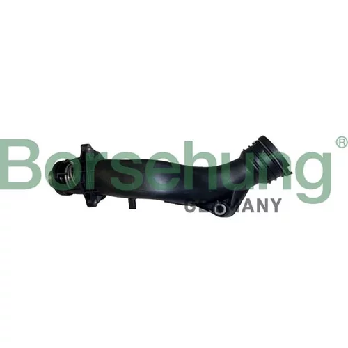 Termostat chladenia Borsehung B10560