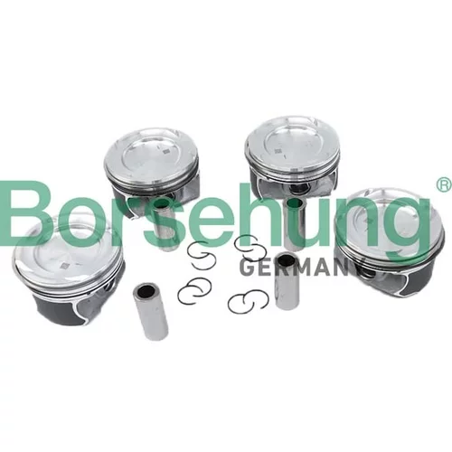 Piest Borsehung B11149