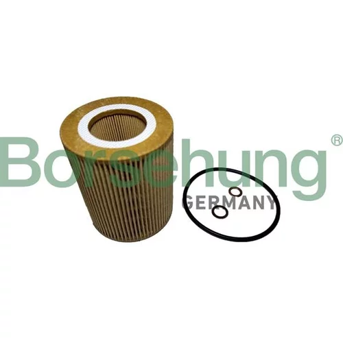 Olejový filter Borsehung B12457