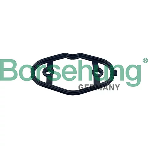Tesnenie veka hlavy valcov Borsehung B12972