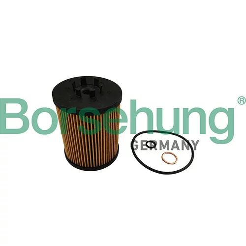 Olejový filter Borsehung B10464
