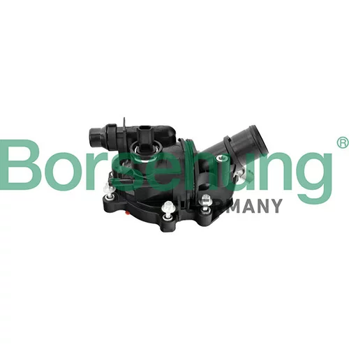 Termostat chladenia Borsehung B10568