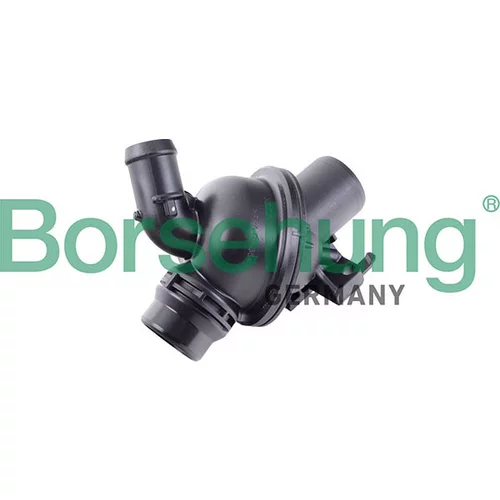Termostat chladenia Borsehung B10570