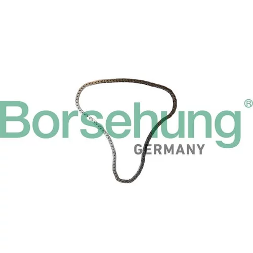 Rozvodová reťaz Borsehung B12766