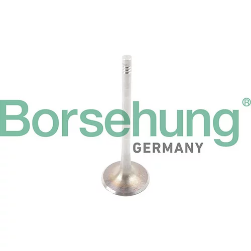 Výfukový ventil Borsehung B13374