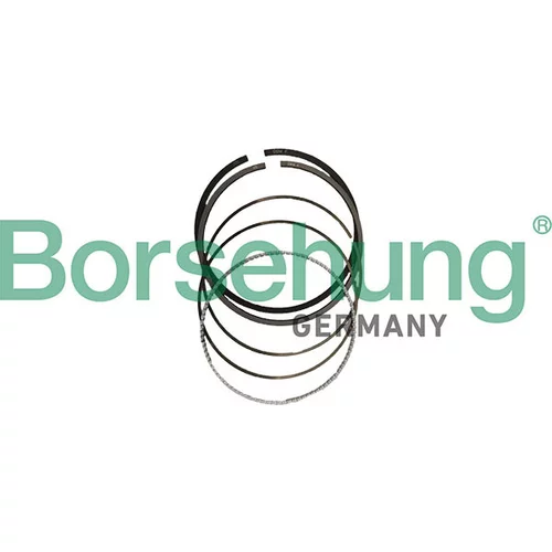 Sada piestnych krúžkov Borsehung B10379