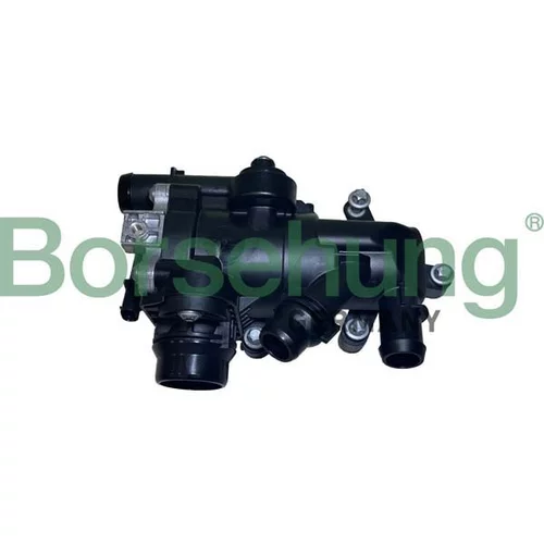 Termostat chladenia Borsehung B10555