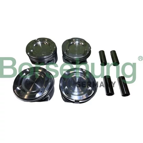 Piest Borsehung B11143