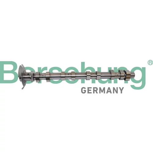 Vačkový hriadeľ Borsehung B11320