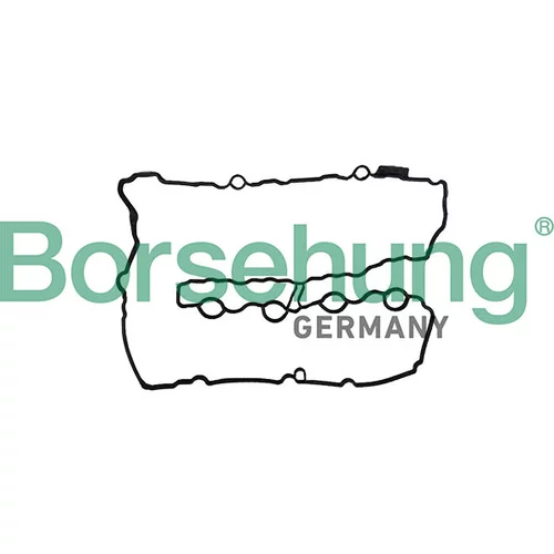 Tesnenie veka hlavy valcov Borsehung B12970