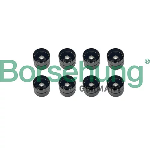 Zdvihátko ventilu Borsehung B12977