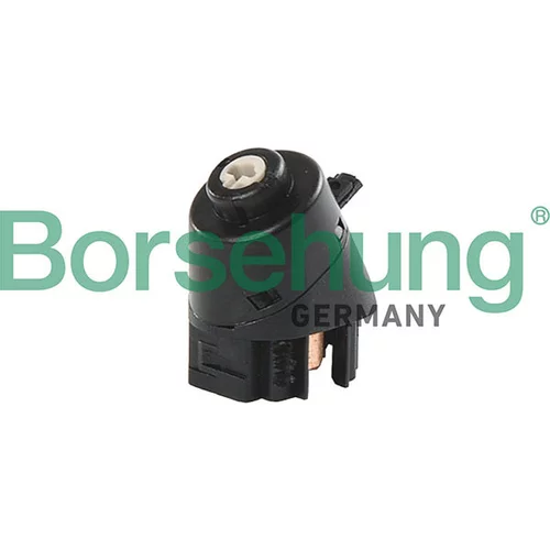 Spínač zapaľovania/štartu Borsehung B13218