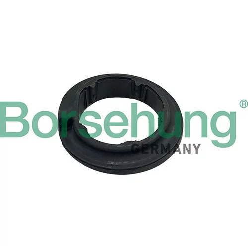 Tanier pružiny Borsehung B13253