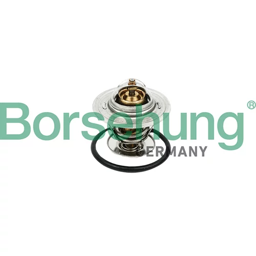 Termostat chladenia Borsehung B18258