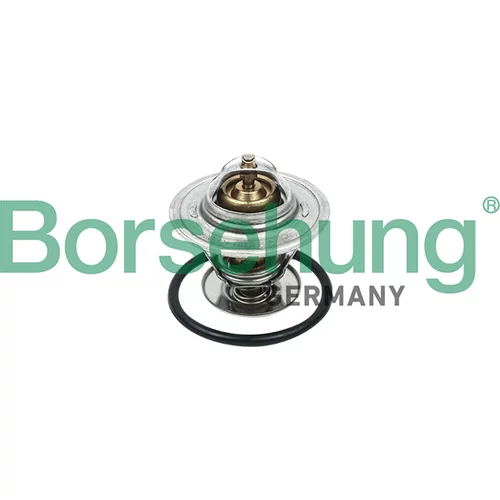 Termostat chladenia Borsehung B18260