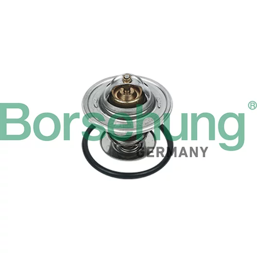 Termostat chladenia Borsehung B18265