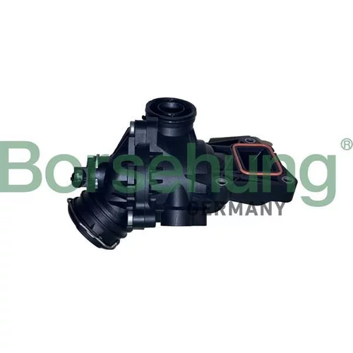 Termostat chladenia Borsehung B10558