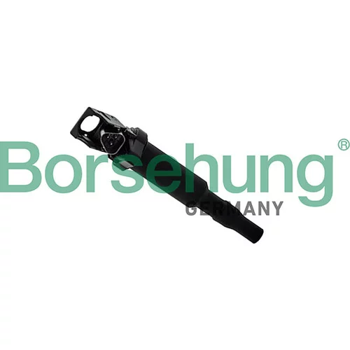 Zapaľovacia cievka Borsehung B10695