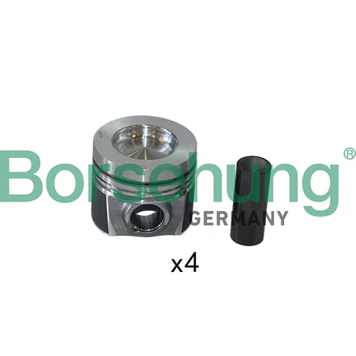Piest Borsehung B11129