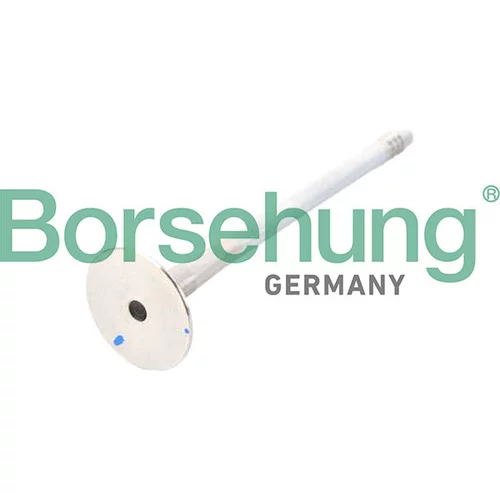 Výfukový ventil Borsehung B13245