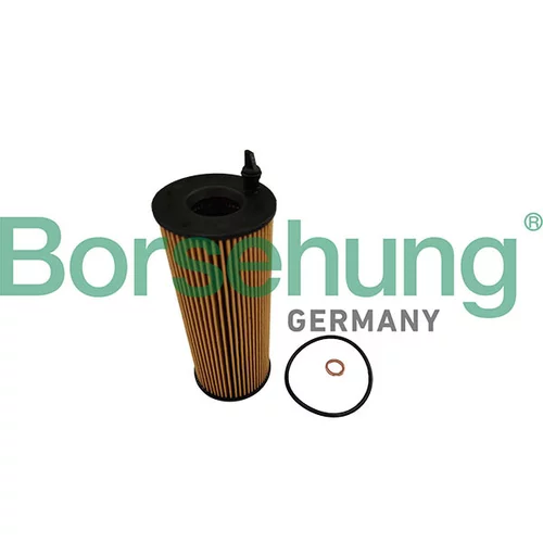 Olejový filter Borsehung B10460