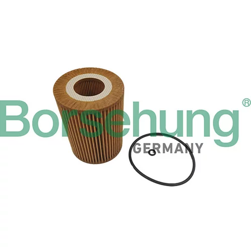 Olejový filter Borsehung B10467