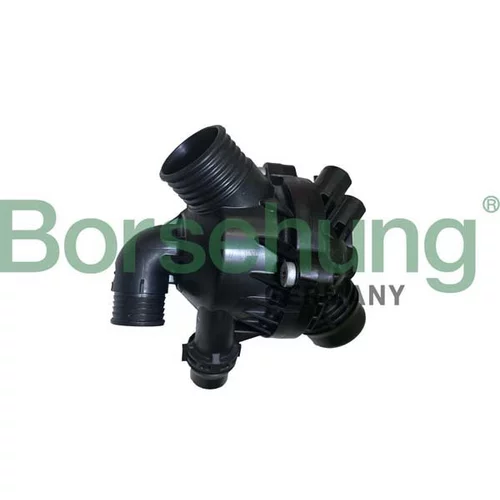 Termostat chladenia Borsehung B10553