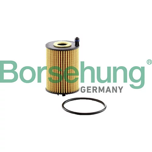 Olejový filter Borsehung B13200