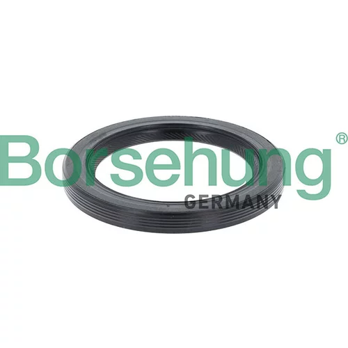 Tesnenie mechanickej prevodovky Borsehung B13361