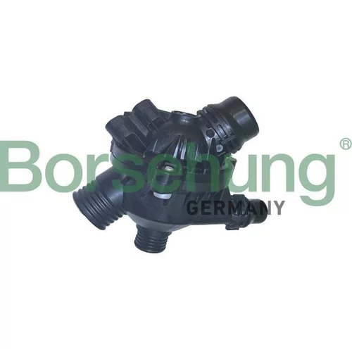 Termostat chladenia Borsehung B10552
