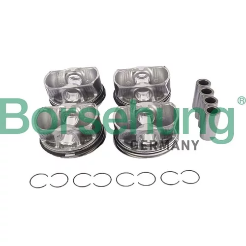 Piest Borsehung B11145