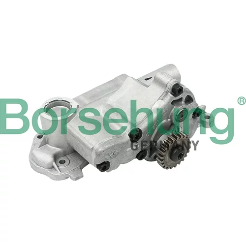 Olejové čerpadlo Borsehung B12698