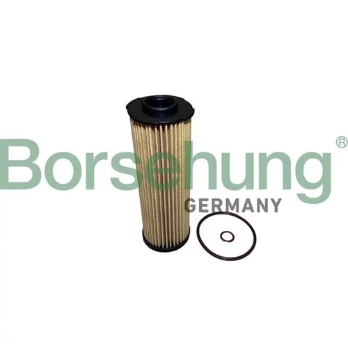 Olejový filter Borsehung B10438