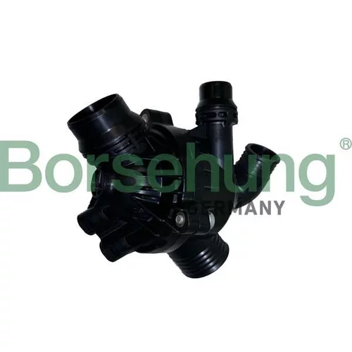Termostat chladenia Borsehung B10551
