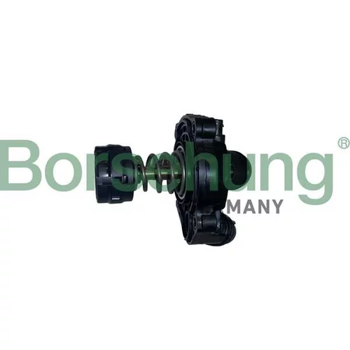 Termostat chladenia Borsehung B10554