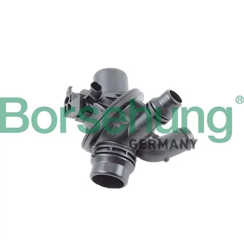 Termostat chladenia Borsehung B10561