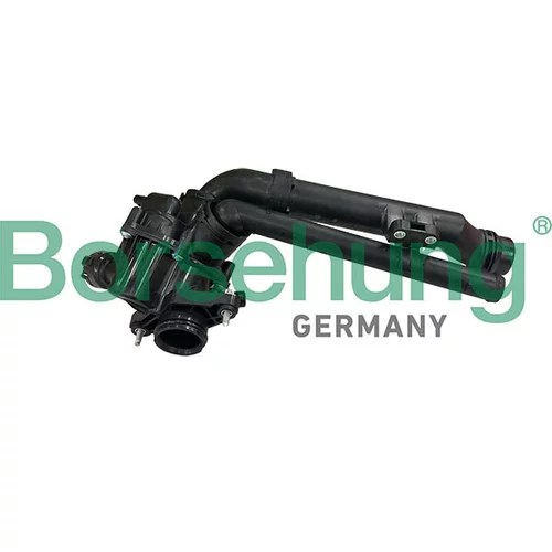 Termostat chladenia Borsehung B10565