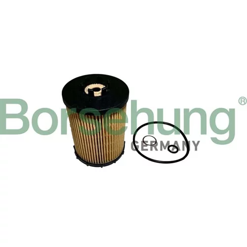 Olejový filter Borsehung B12456