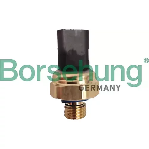 Olejový tlakový spínač Borsehung B13506