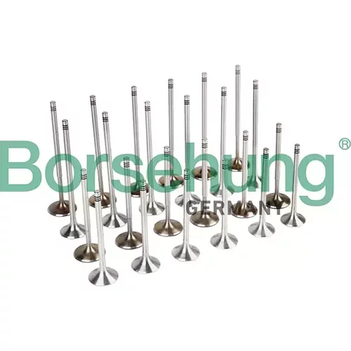 Súprava ventilov, sací/výfukový ventil Borsehung B13512