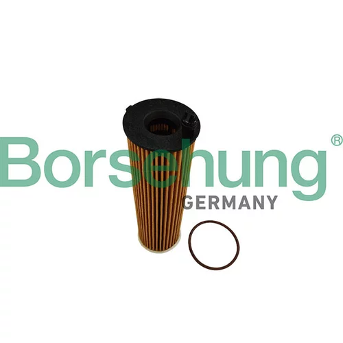 Olejový filter Borsehung B10455