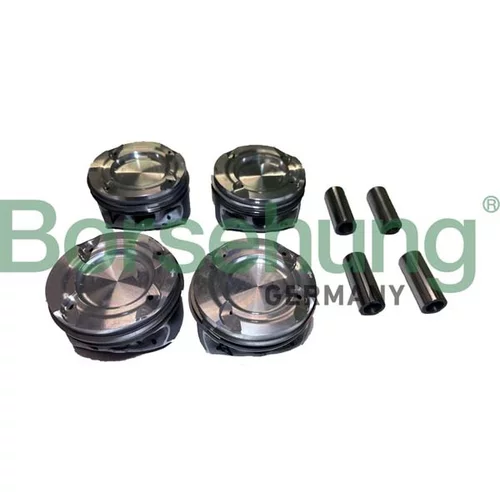 Piest Borsehung B11139