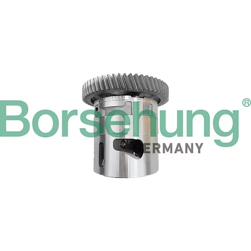 Olejové čerpadlo Borsehung B11906