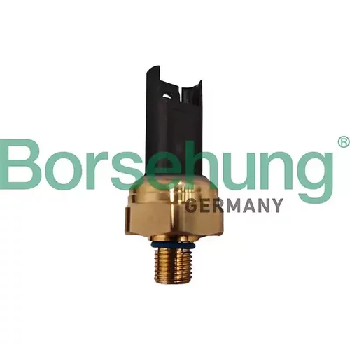Senzor tlaku paliva Borsehung B13503