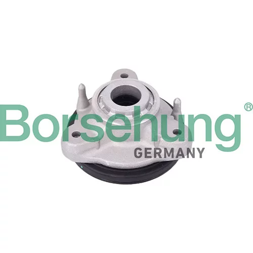 Ložisko pružnej vzpery Borsehung B10055