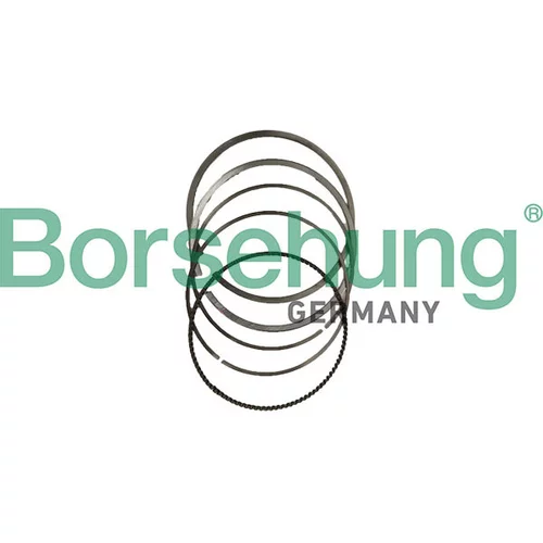 Sada piestnych krúžkov Borsehung B10377