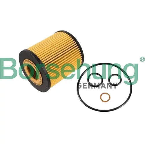 Olejový filter Borsehung B10440