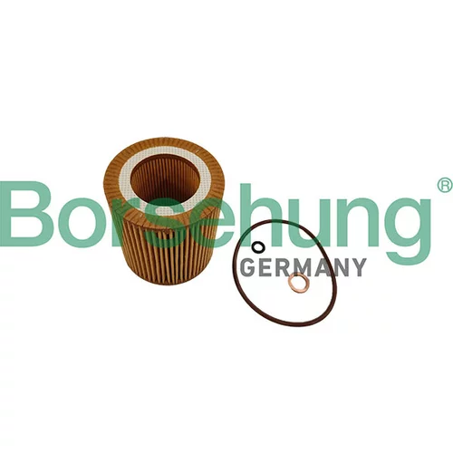 Olejový filter Borsehung B10462