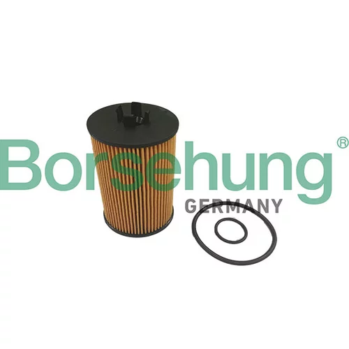 Olejový filter Borsehung B10468