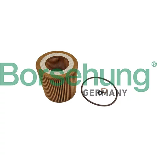Olejový filter Borsehung B10469
